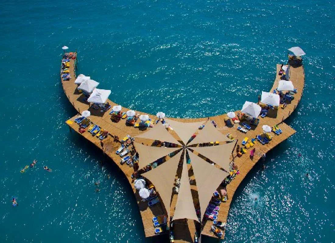 Selectum Family Comfort Side vh.Lyra 3