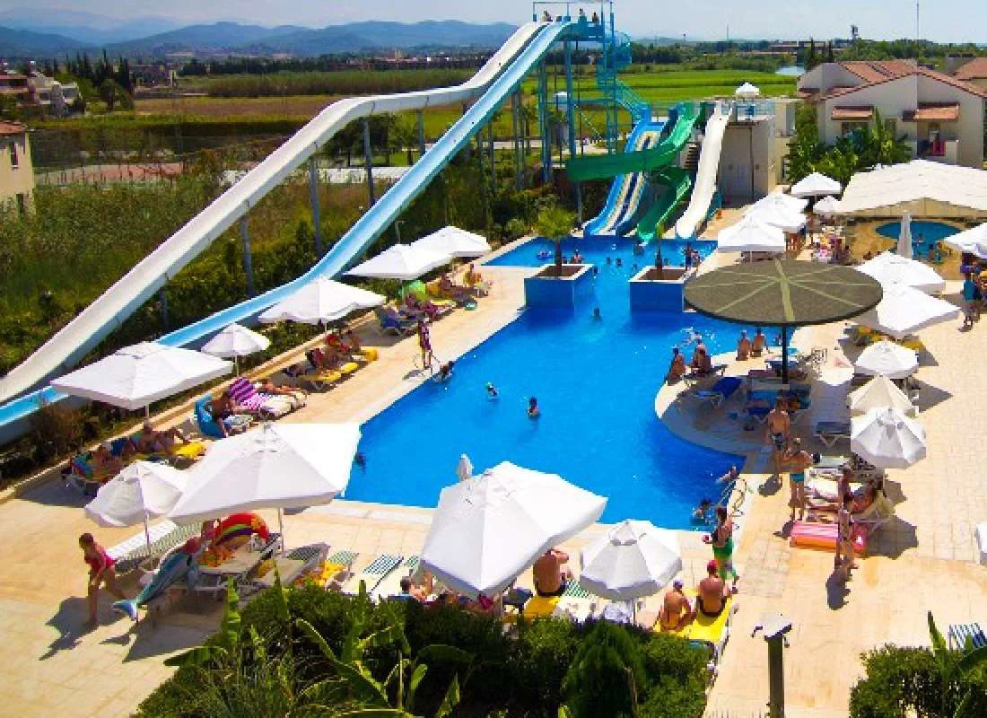 Selectum Family Comfort Side vh.Lyra 4