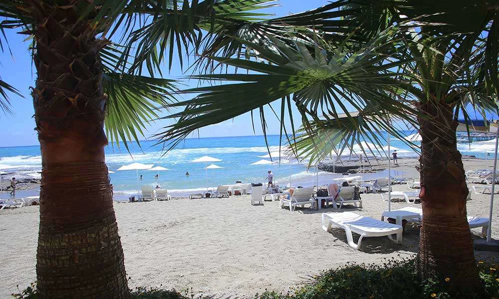 Simply Fine Hotel Alize 4