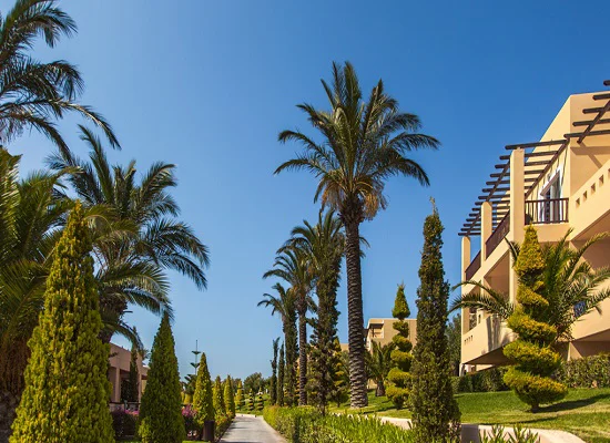 Horizon Beach Resort Hotel KOS 2