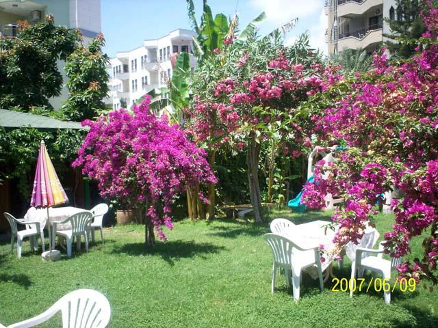 Seda Apart (Alanya) ALANYA 3