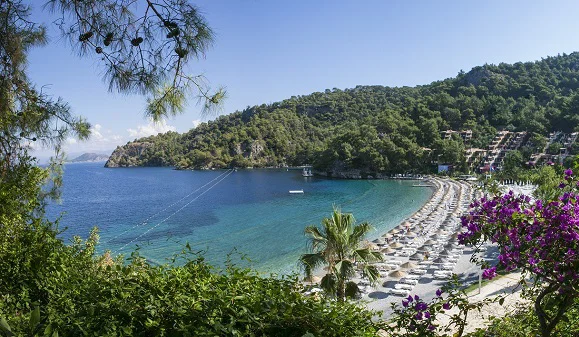 HILLSIDE BEACH CLUB 4