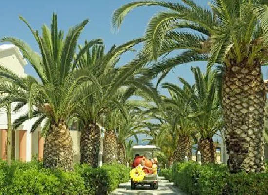 Hotel Aldemar Knossos Royal 3