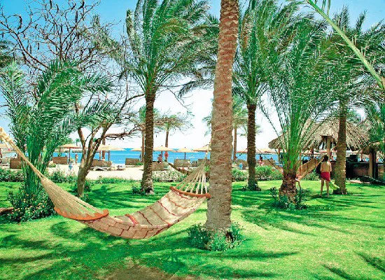 Movenpick Resort Hotel Hurghada HURGHADA 4