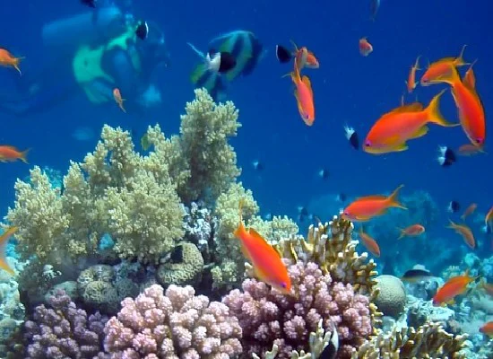 Happy Life Resort Marsa Alam MARSA ALAM 4