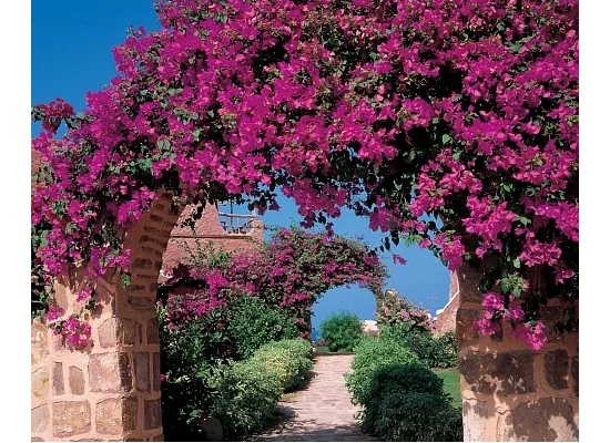 Kahramana Beach Resort MARSA ALAM 5