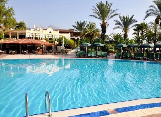 Gypsophila Club Marine 2