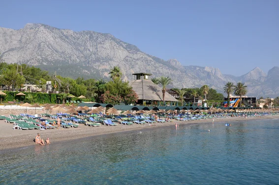 Gypsophila Club Marine 4