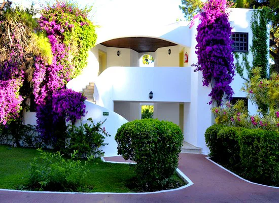 Emelda Sun Club vh. Simena Sun 4