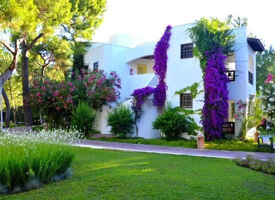 Emelda Sun Club vh. Simena Sun 5